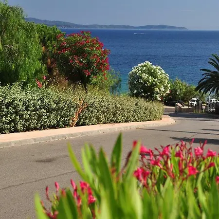 Evasion Marine - T2 Vue - Terrasse - A Pied Appartement