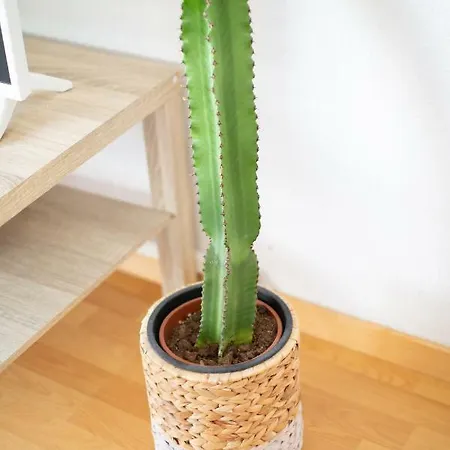 Evasion Marine - T2 Vue - Terrasse - A Pied Appartement