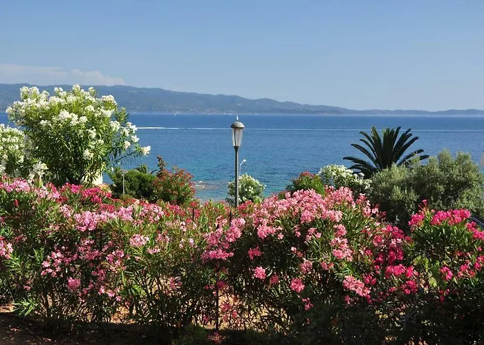 Evasion Marine - T2 Vue - Terrasse - A Pied Apartment Ajaccio (Corsica)